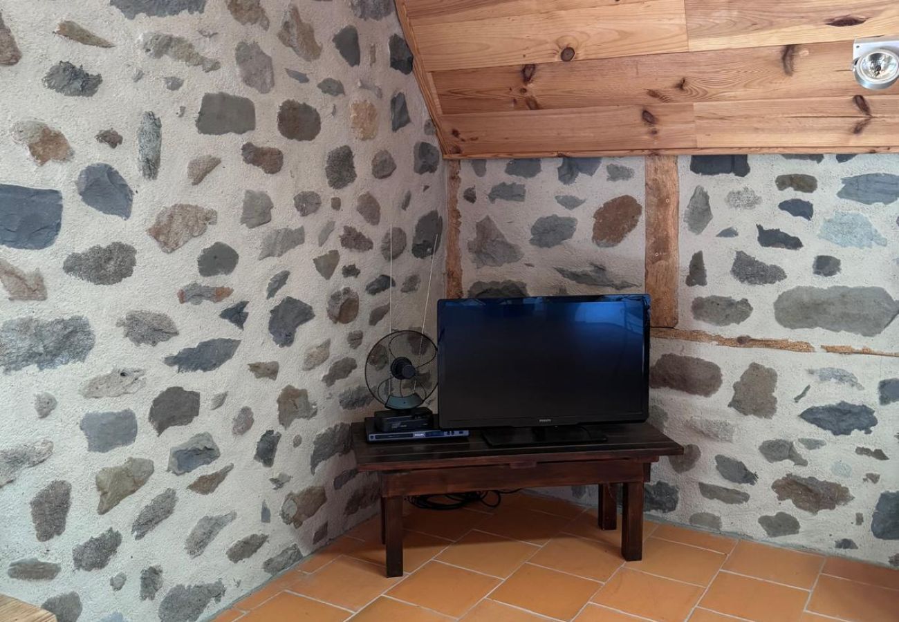 House in Dienne - Maison Auvergnate secteur Puy Mary