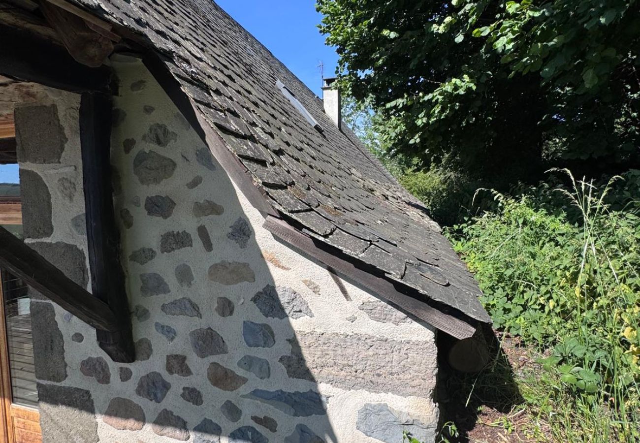 House in Dienne - Maison Auvergnate secteur Puy Mary
