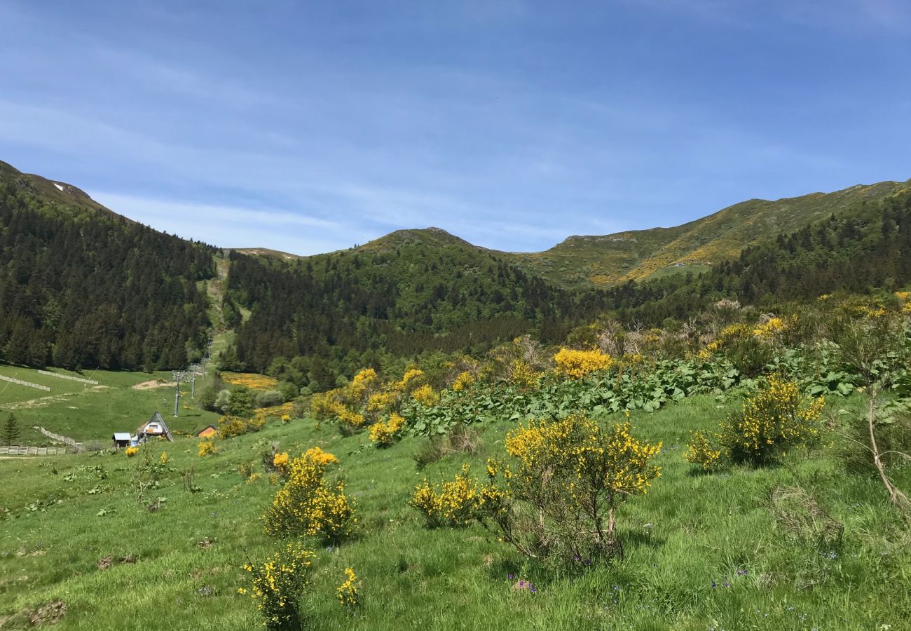 Apartamento en Le Lioran - ALTURA T4 neuf, terrasse sud face aux montagnes