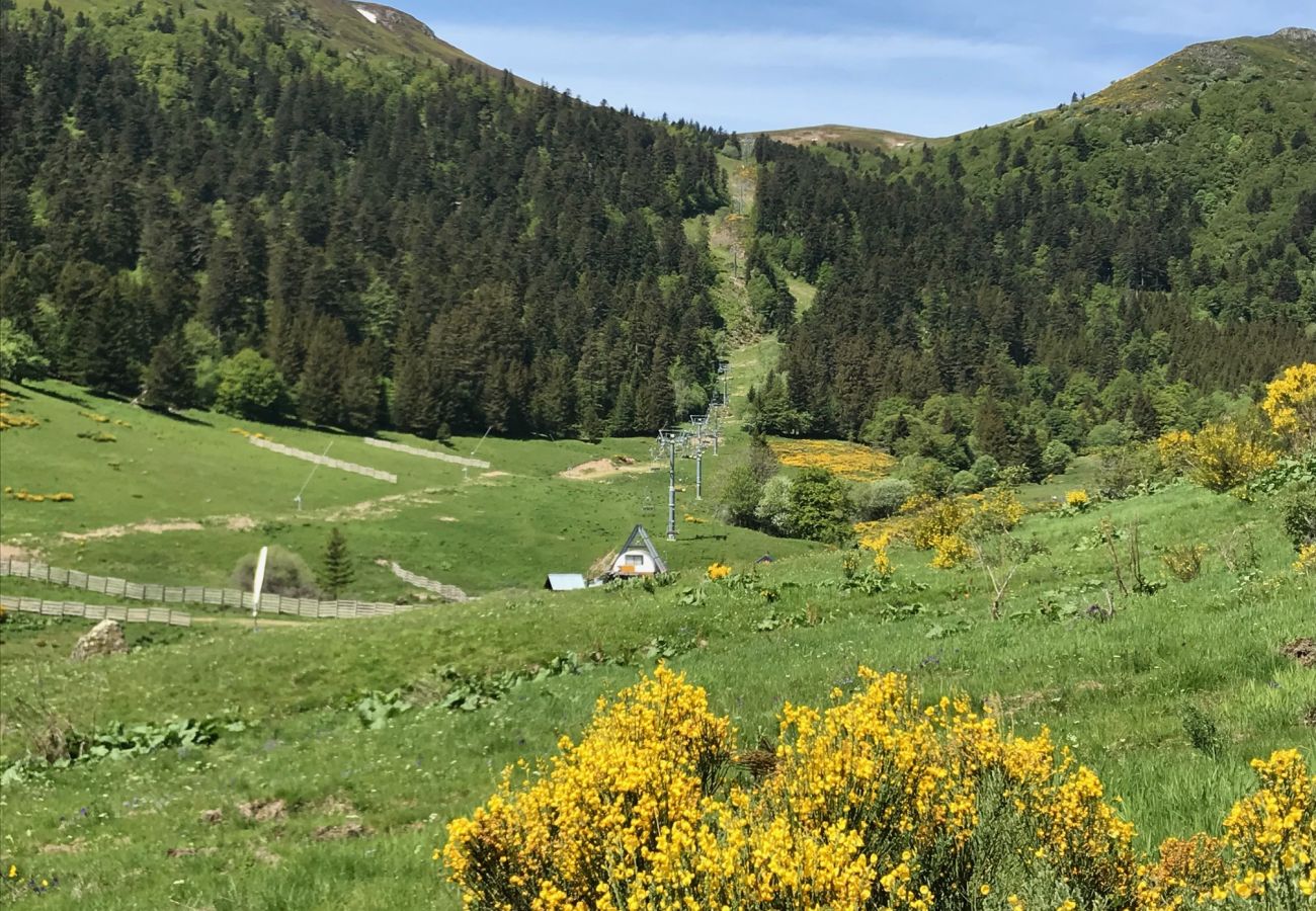 Apartamento en Le Lioran - ALTURA T4 neuf, terrasse sud face aux montagnes