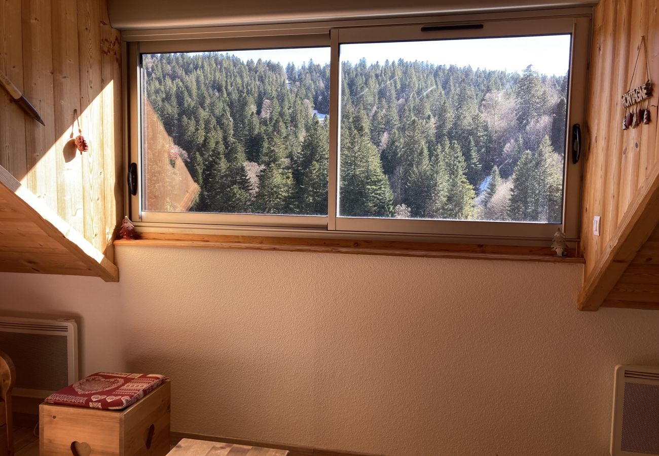 Apartamento en Le Lioran - ALTURA T2 Duplex wifi au pied des montagnes