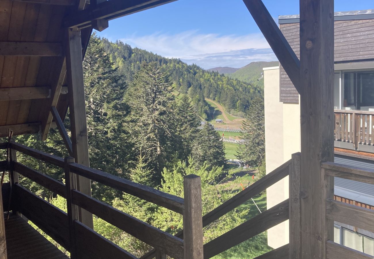 Apartamento en Le Lioran - Rocher du Cerf, skis aux pieds, 3 ch,2 sdb