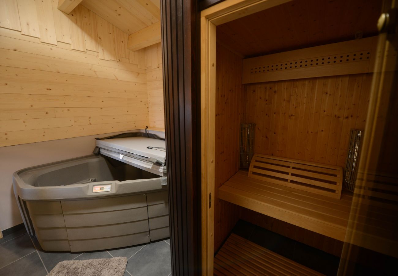 Apartamento en Le Lioran - Chalet neuf, spa, sauna, terrasses Sud