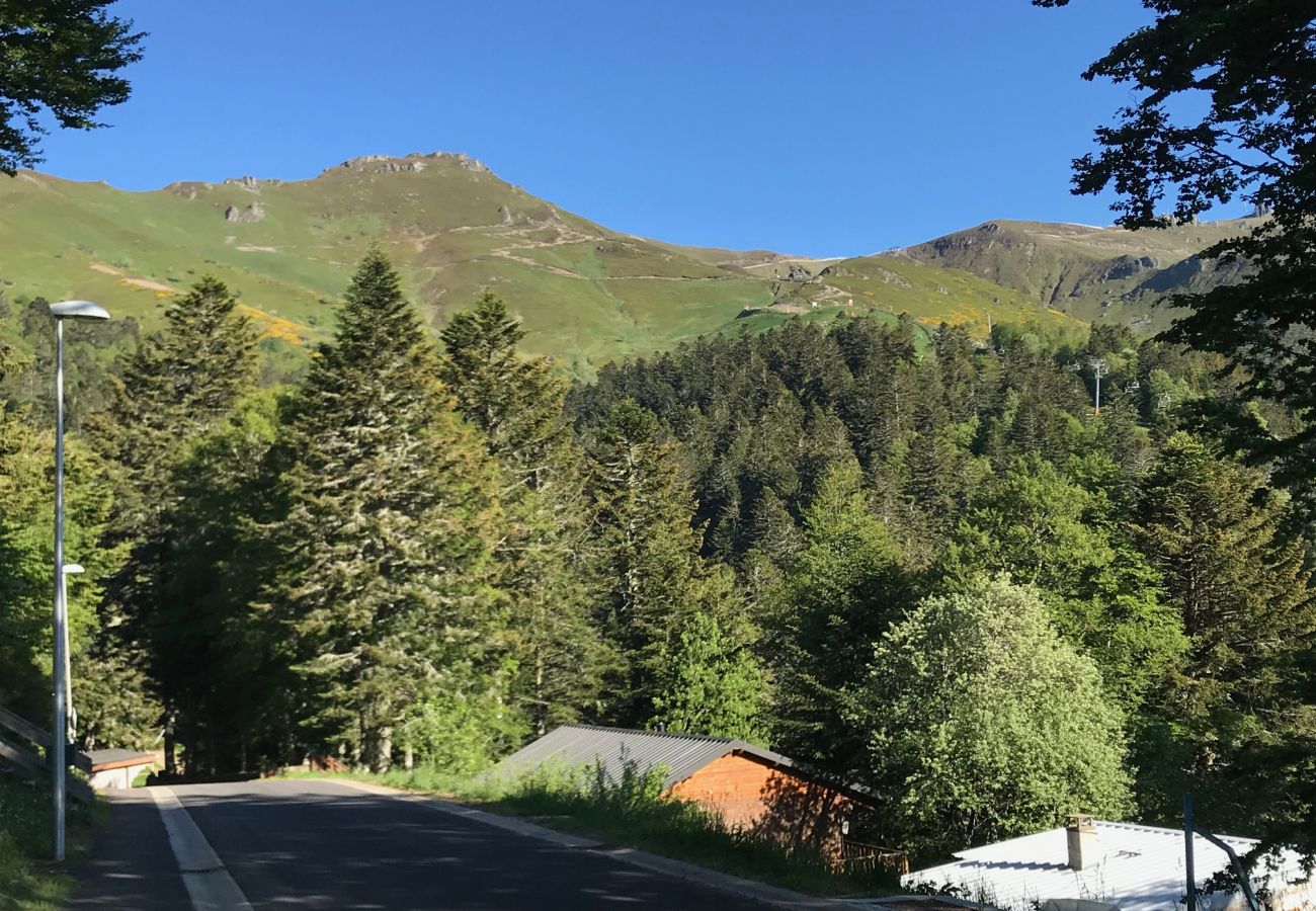 Apartamento en Le Lioran - Magnifique 2 chambres  terrasse face aux Montagnes