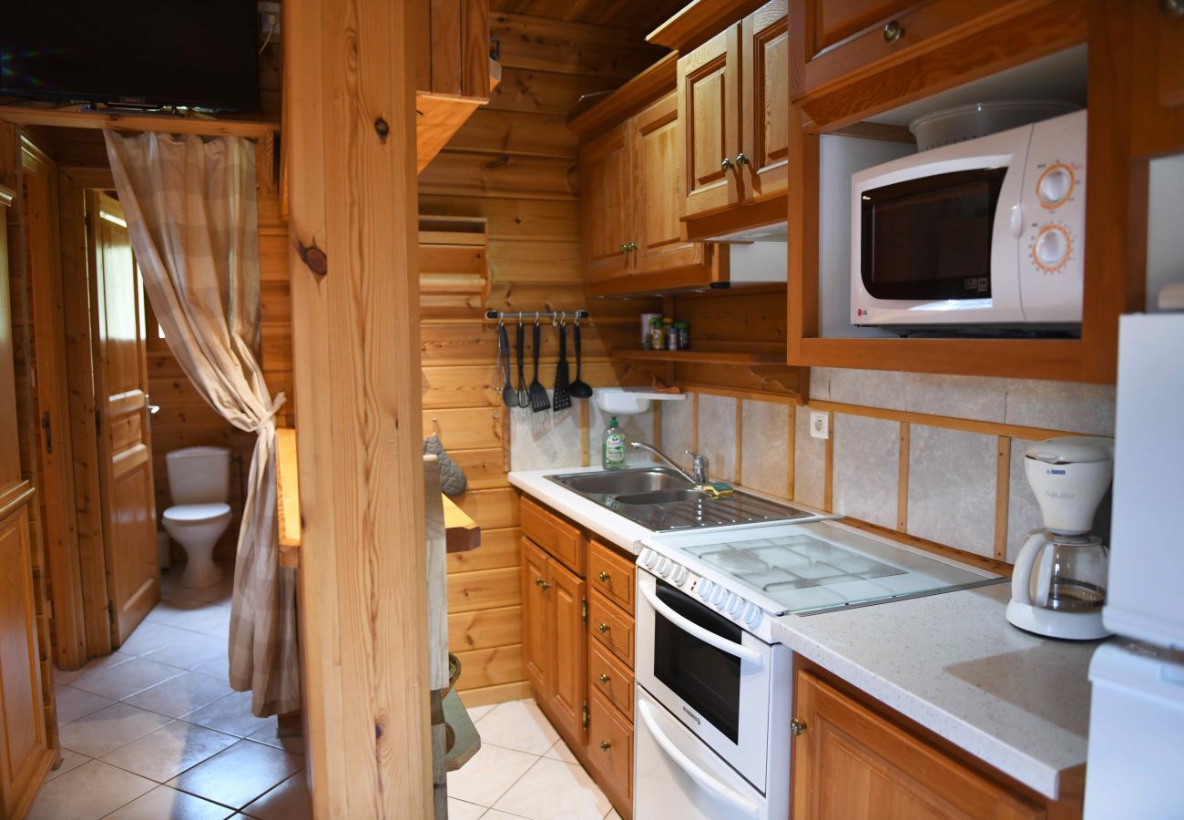 Chalet en Saint-Jacques-des-Blats - Chalet Font de Cère