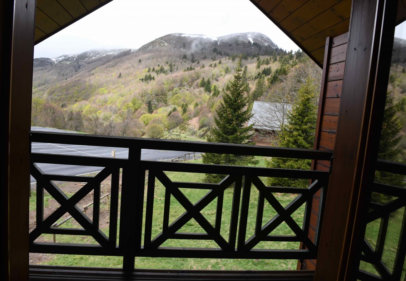 Chalet en Saint-Jacques-des-Blats - Chalet Font de Cère