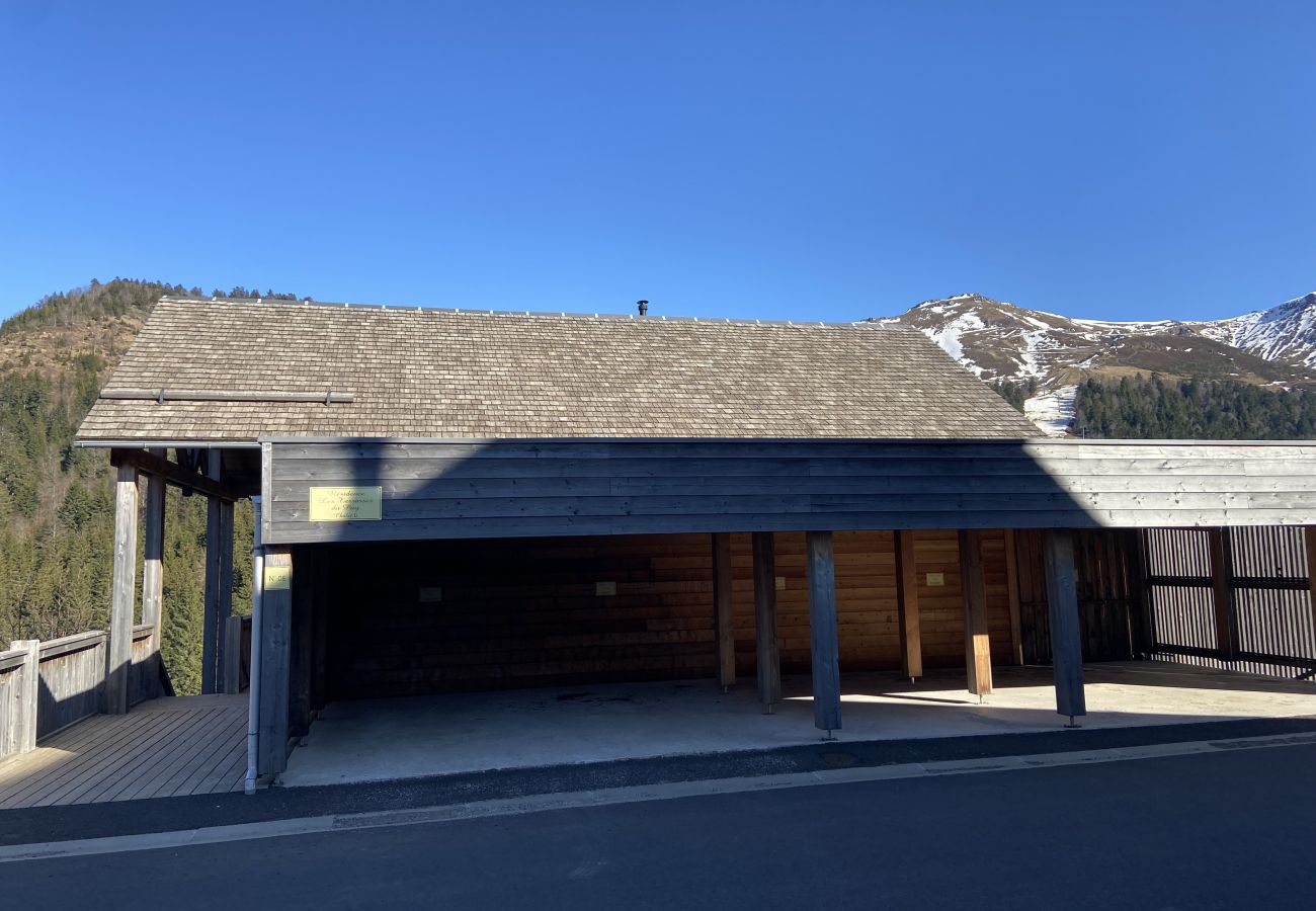 Apartamento en Le Lioran - Chalet D R-1D Masseboeuf