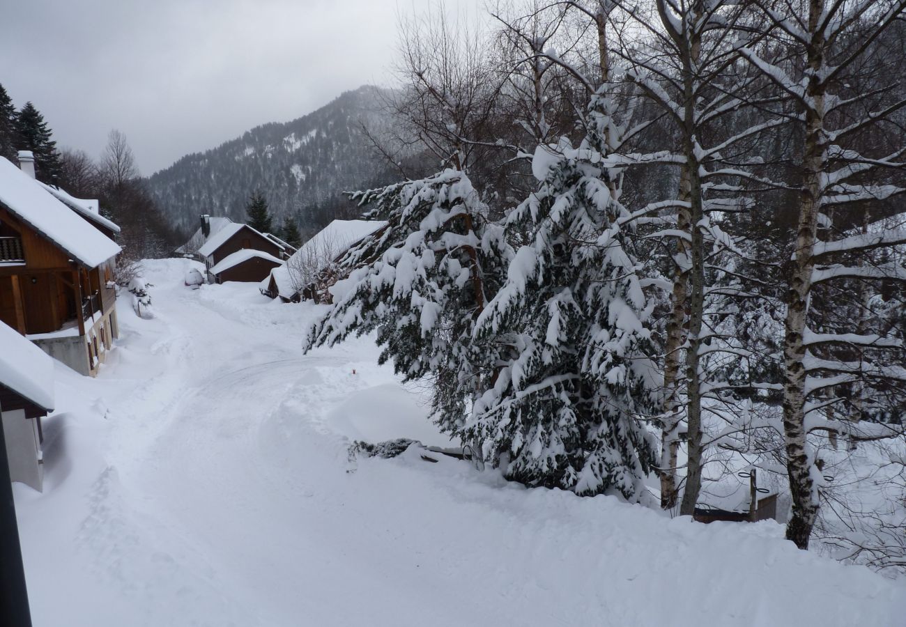 Chalet en Le Lioran - Chalet Individuel Bec de l'Aigle