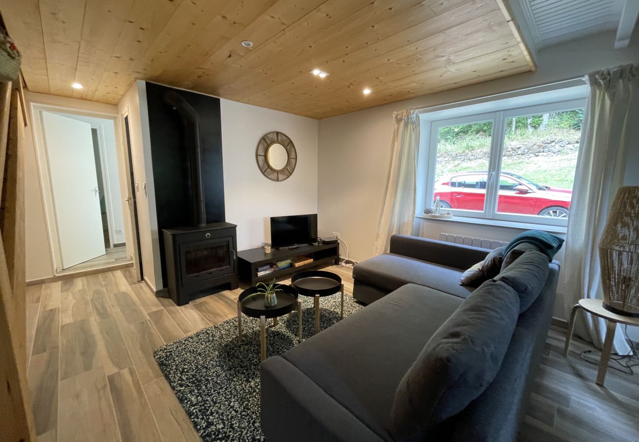 Casa en Cheylade - Puy Mary, Volcans d'auvergne