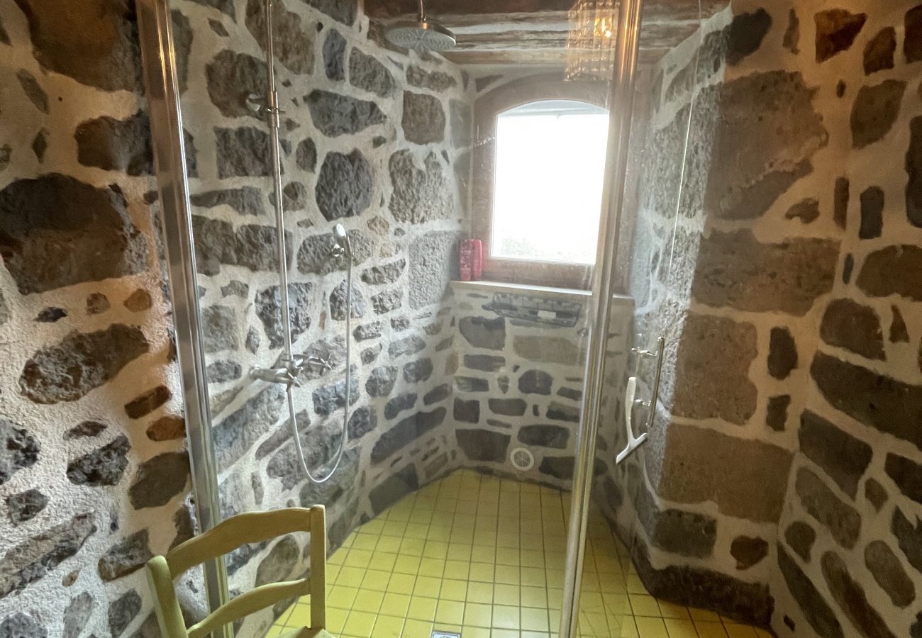 Casa en Cheylade - Maison atypique dans Cheylade