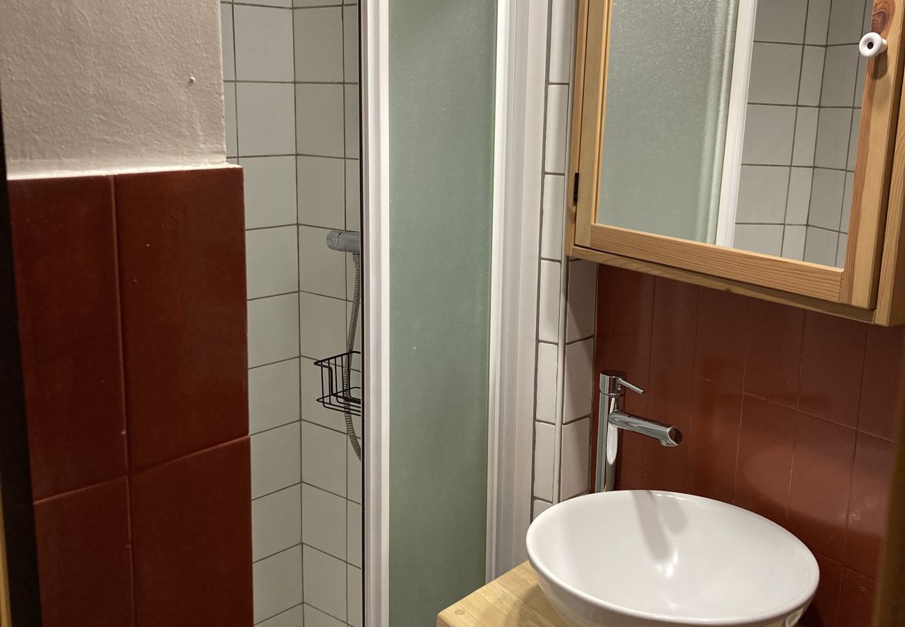 Estudio en Laveissière - Studio duplex hyper centre 4 personnes