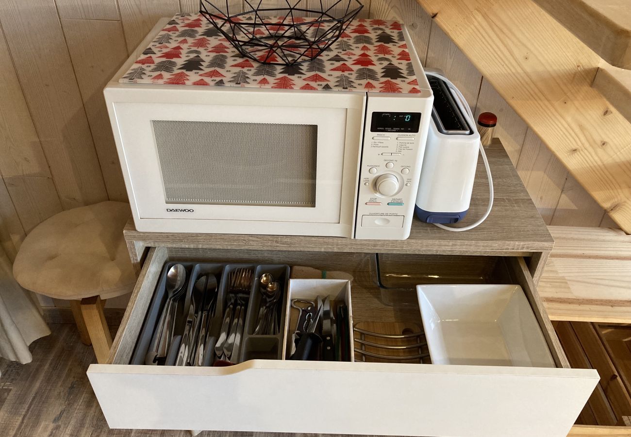 Estudio en Laveissière - Studio duplex hyper centre 4 personnes