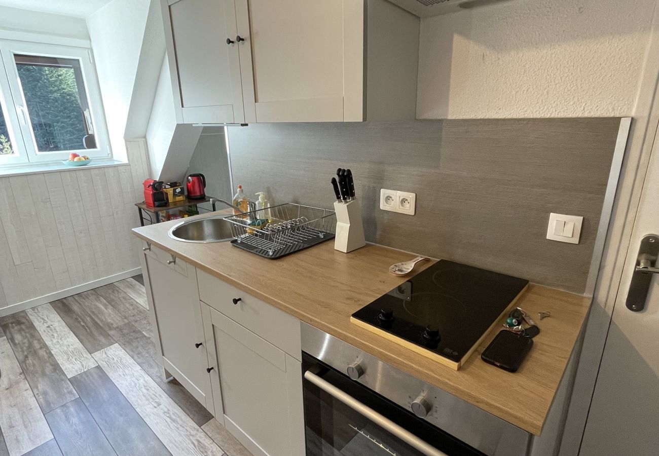 Apartamento en Le Lioran - Appartement cosy au Lioran