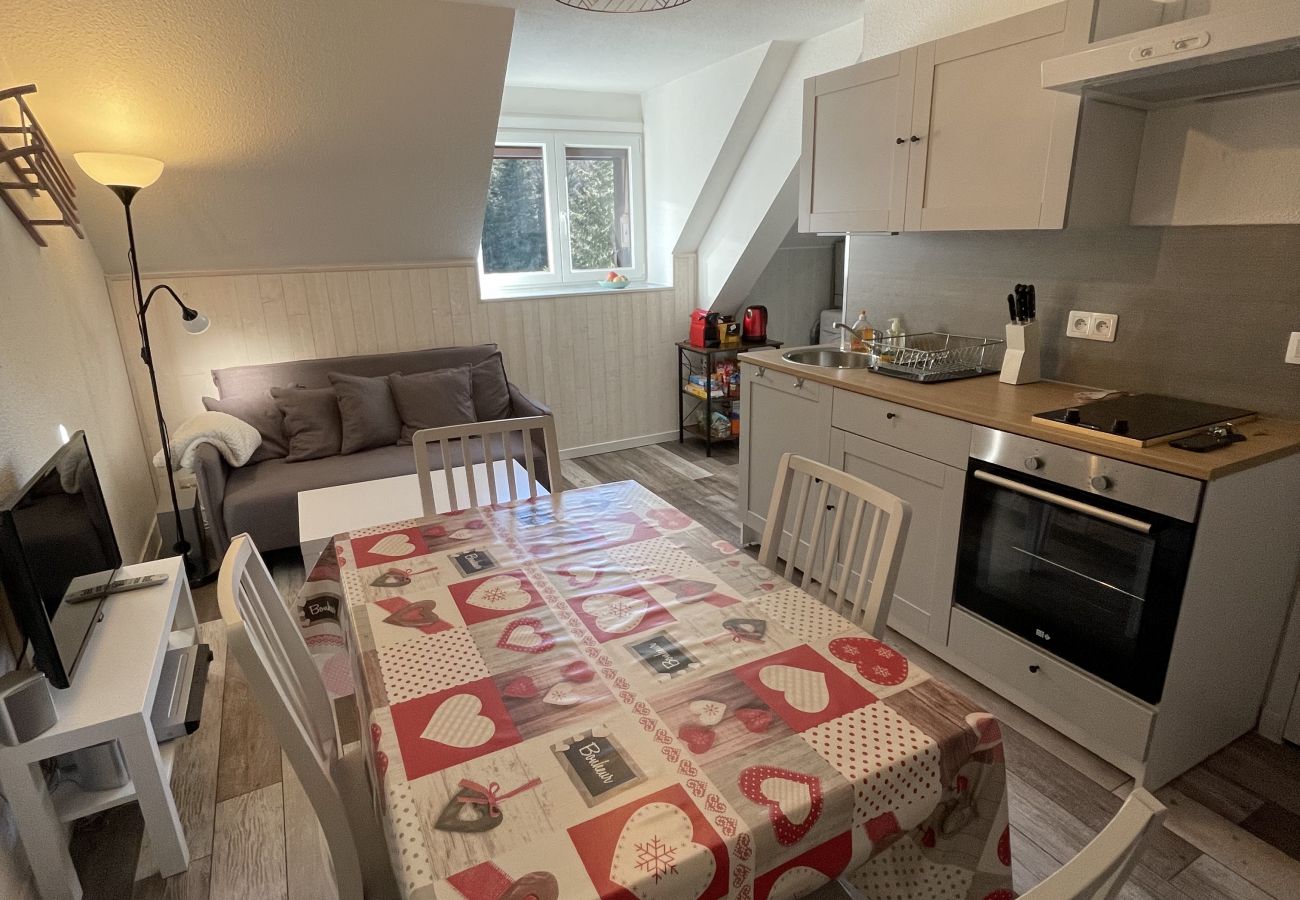 Apartamento en Le Lioran - Appartement cosy au Lioran