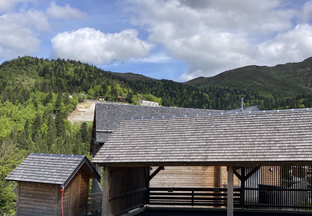 Apartamento en Le Lioran - Chalet Les Hermines R-2D