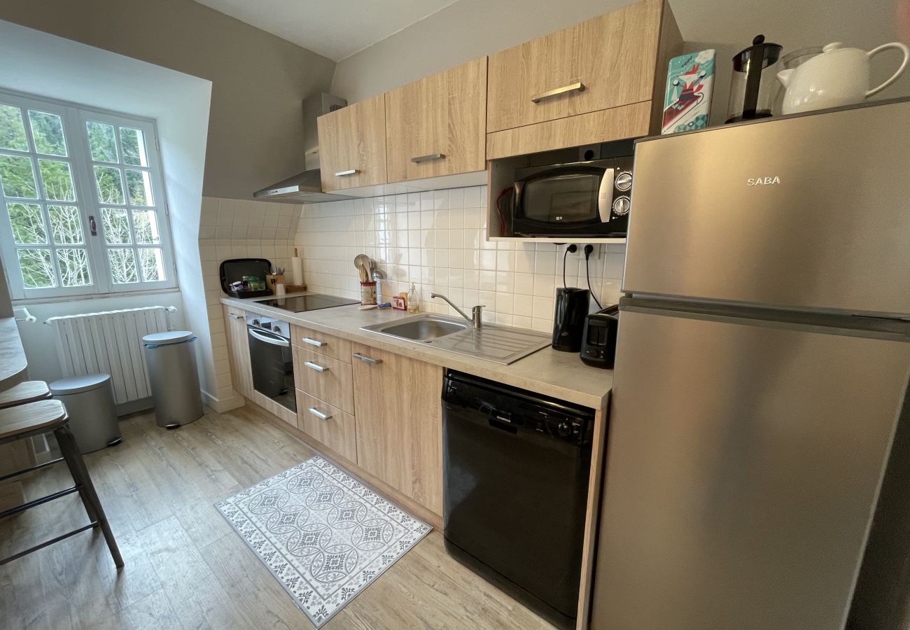 Apartamento en Le Lioran - Appartement au village du Lioran