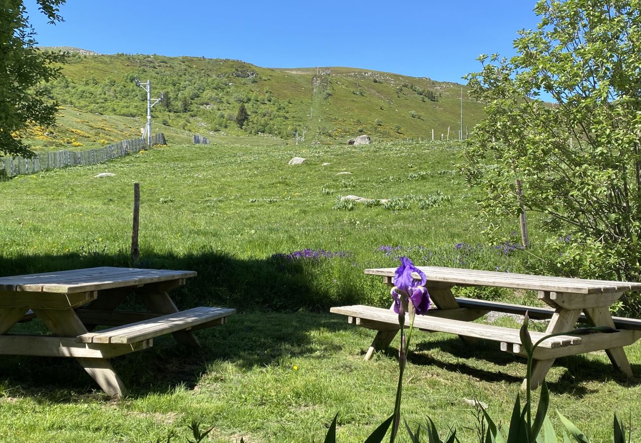 Apartamento en Albepierre-Bredons - Appartement le chamalière