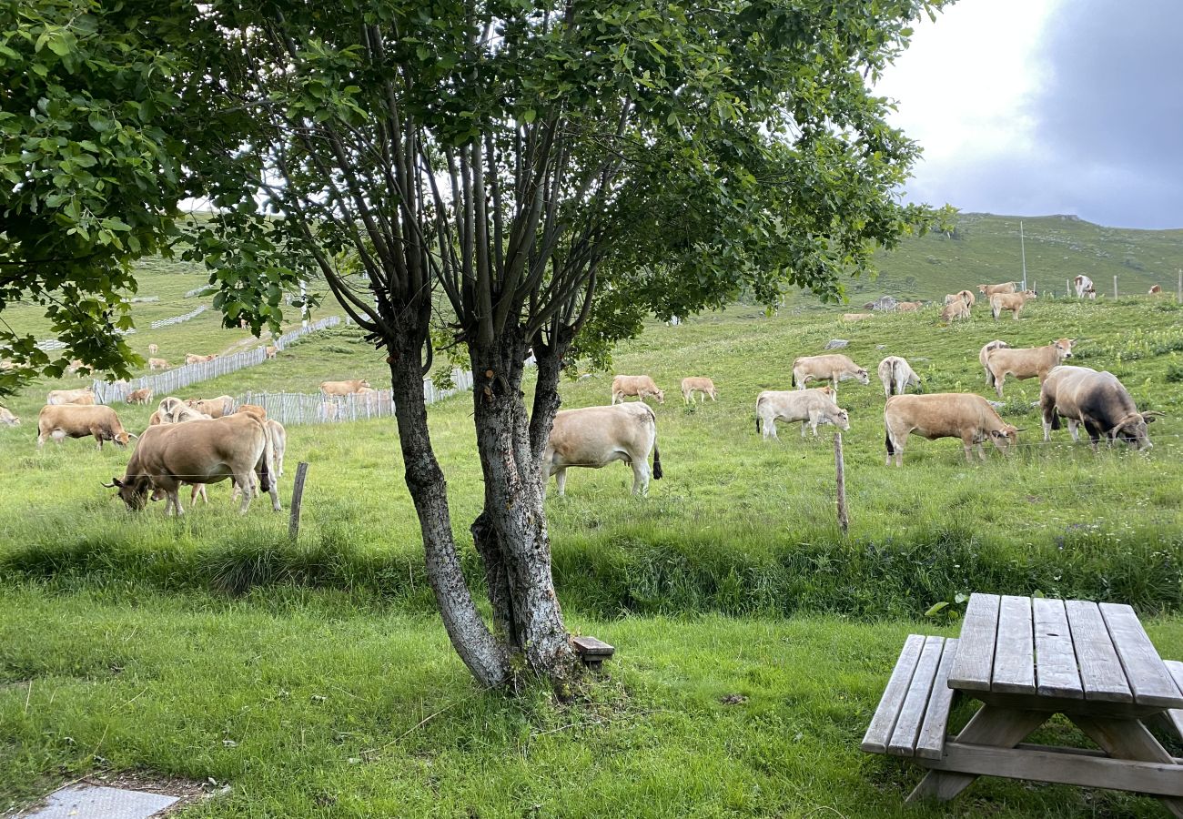 Casa rural en Albepierre-Bredons - Gîte le Plomb du Cantal