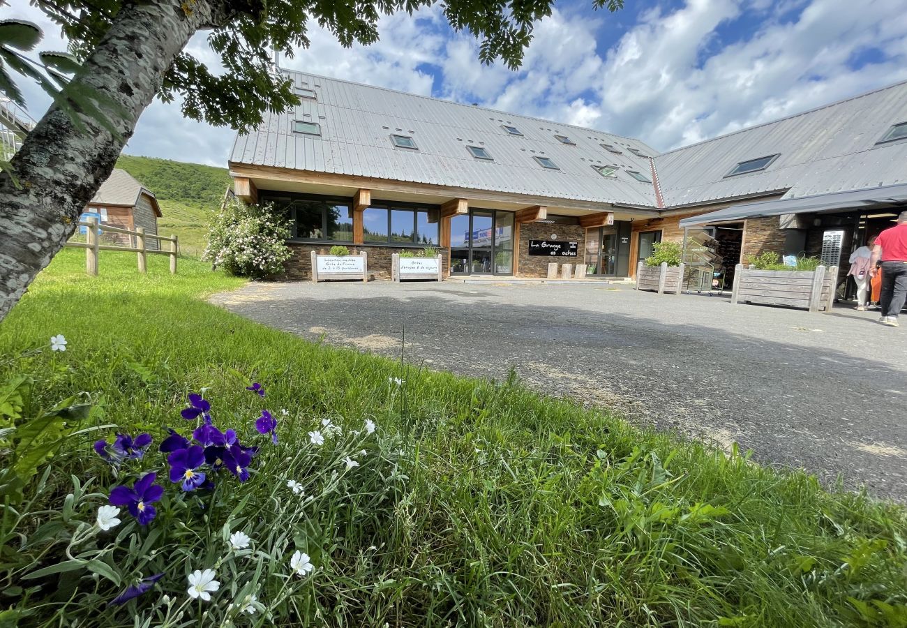 Casa rural en Albepierre-Bredons - Gîte le Plomb du Cantal