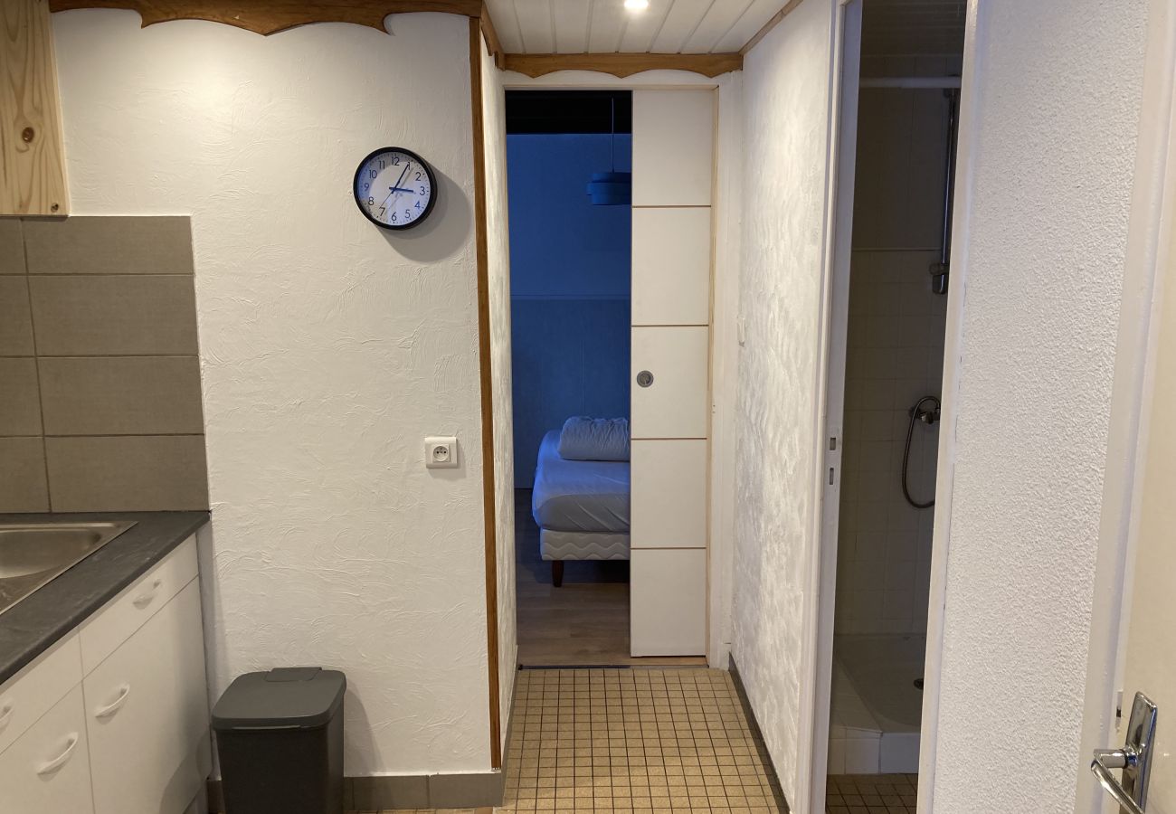 Apartamento en Le Lioran - T2  Vassivière à Font D'Alagnon