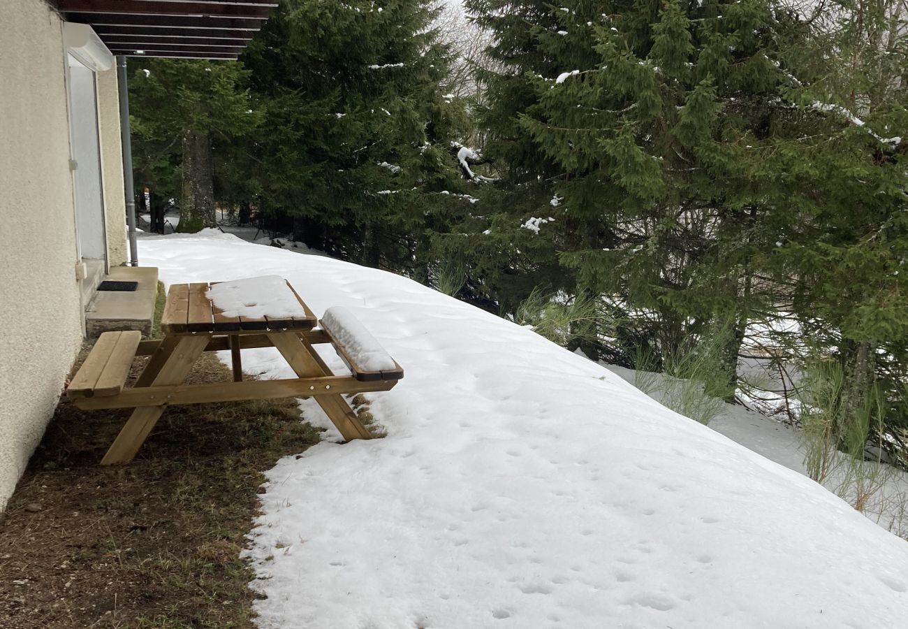 Apartamento en Le Lioran - T2  Vassivière à Font D'Alagnon
