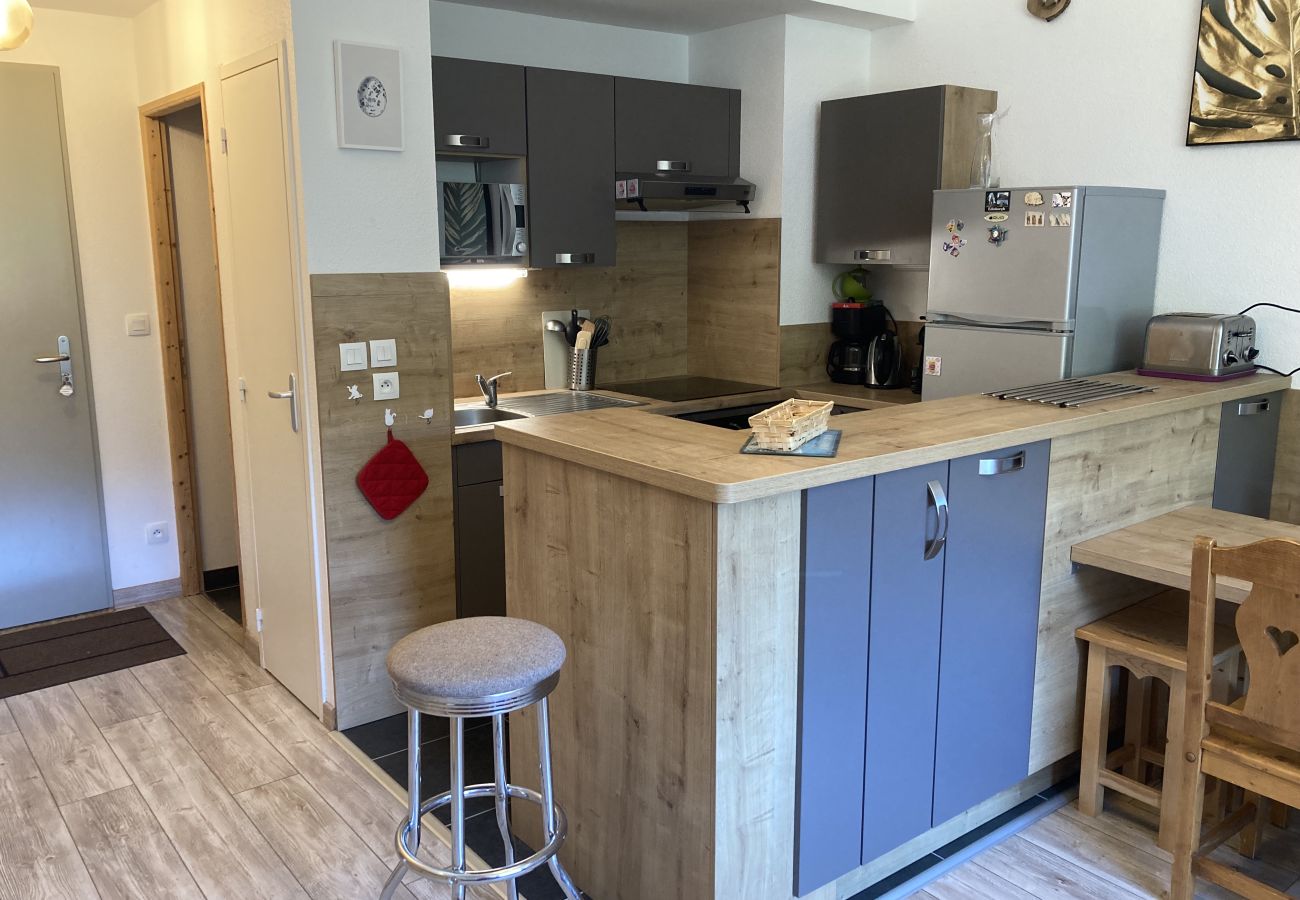Apartamento en Le Lioran - T2 avec vue sur les montagnes et wifi à Altura