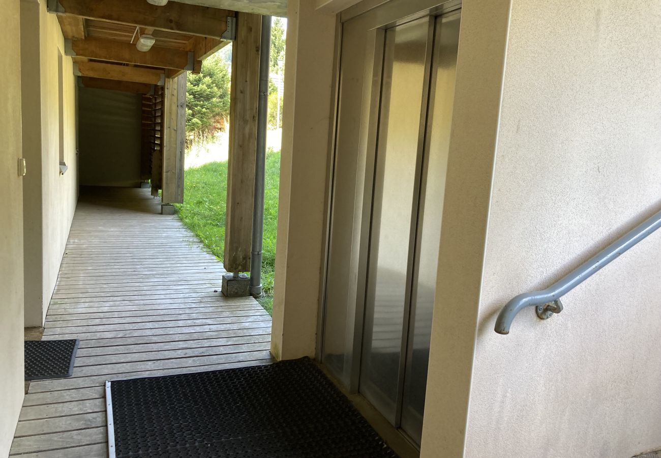 Apartamento en Le Lioran - T2 avec vue sur les montagnes et wifi à Altura
