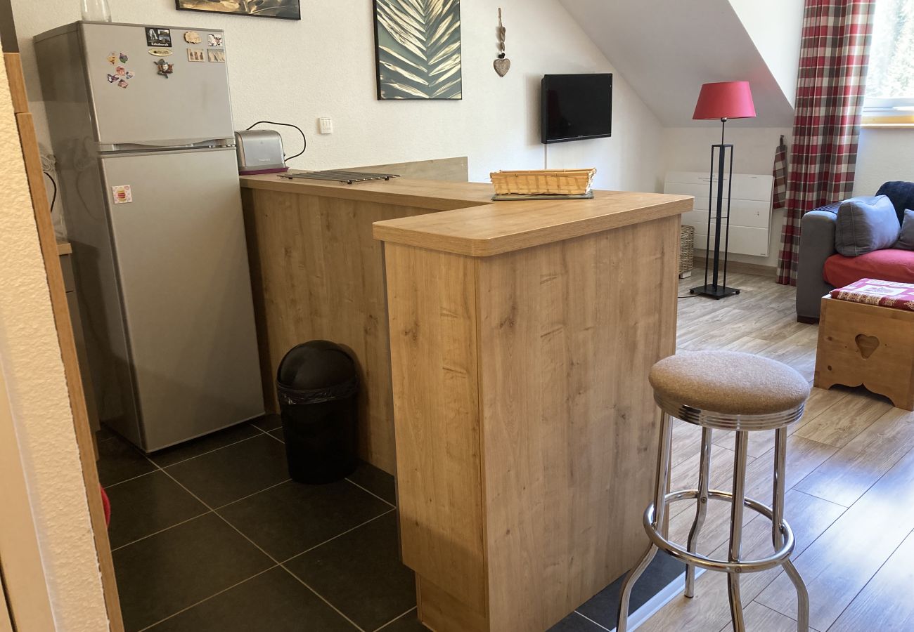Apartamento en Le Lioran - T2 avec vue sur les montagnes et wifi à Altura