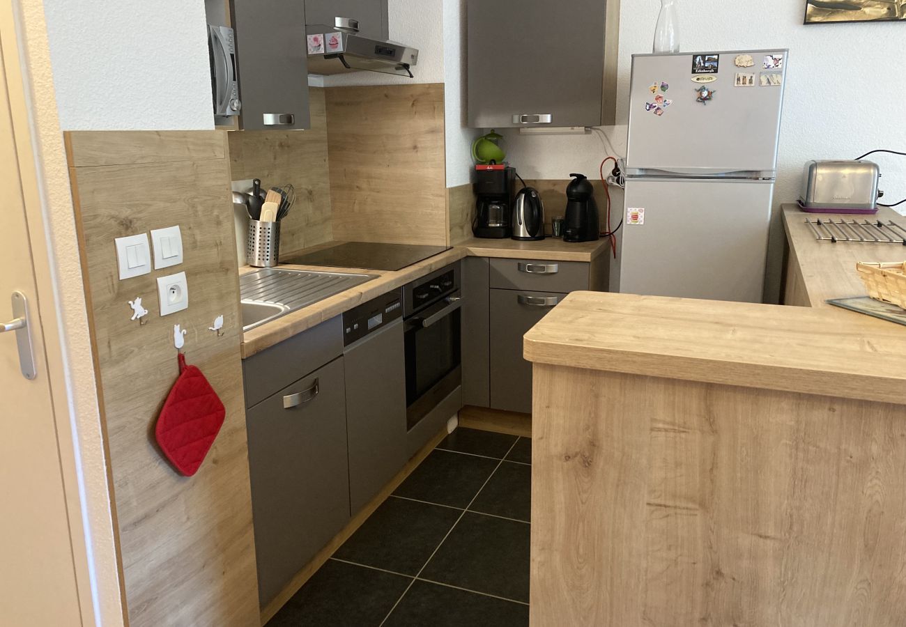 Apartamento en Le Lioran - T2 avec vue sur les montagnes et wifi à Altura
