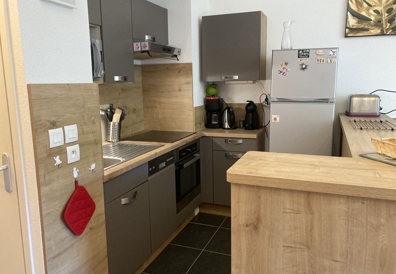 Apartamento en Le Lioran - T2 avec vue sur les montagnes et wifi à Altura