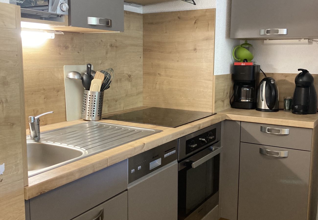 Apartamento en Le Lioran - T2 avec vue sur les montagnes et wifi à Altura