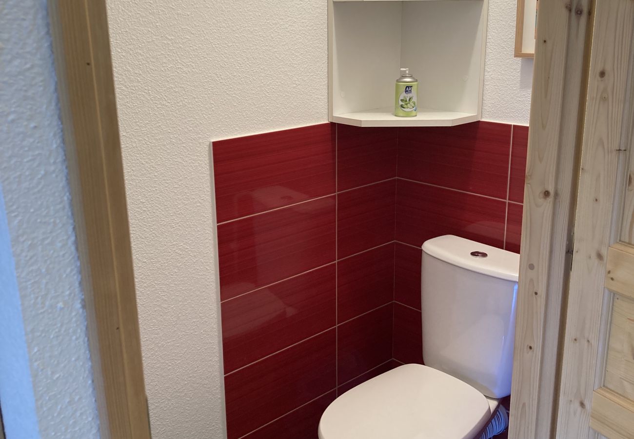 Apartamento en Le Lioran - T2 avec vue sur les montagnes et wifi à Altura