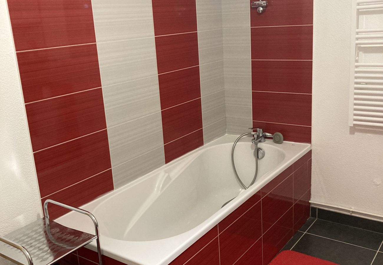 Apartamento en Le Lioran - T2 avec vue sur les montagnes et wifi à Altura