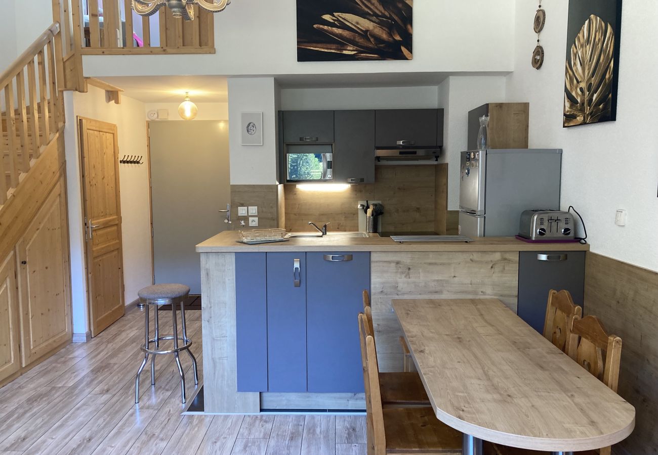 Apartamento en Le Lioran - T2 avec vue sur les montagnes et wifi à Altura