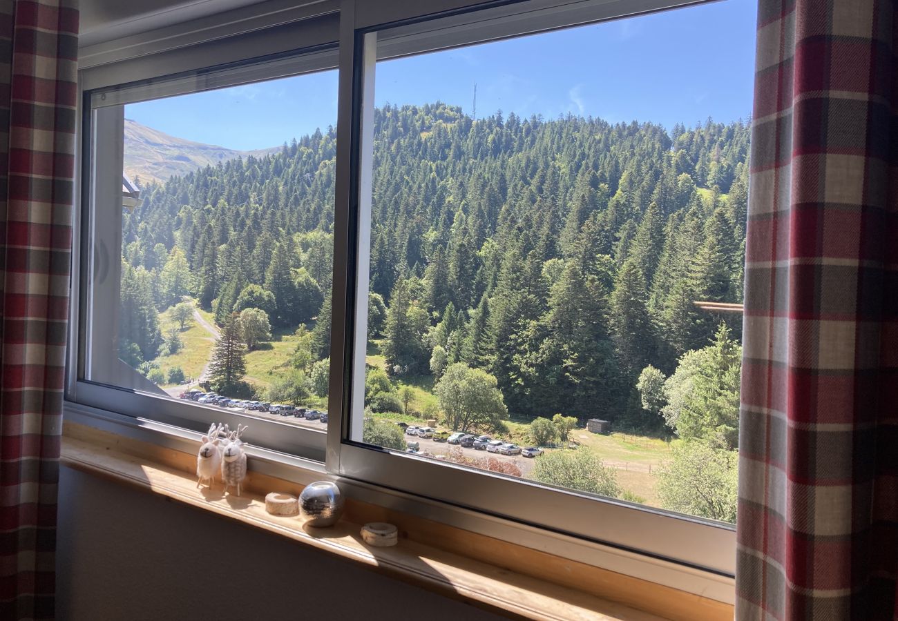 Apartamento en Le Lioran - T2 avec vue sur les montagnes et wifi à Altura