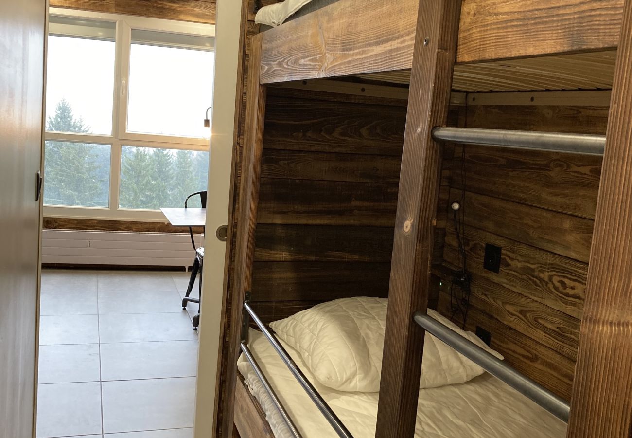 Estudio en Le Lioran - Studio cosy dans la tour Sumene