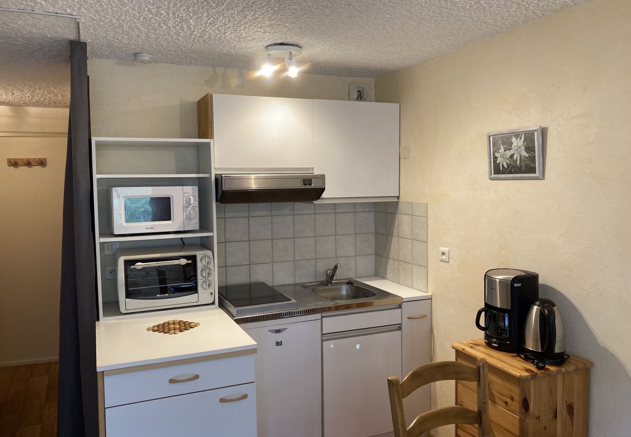 Estudio en Le Lioran - Studio coquet aux Sagnes