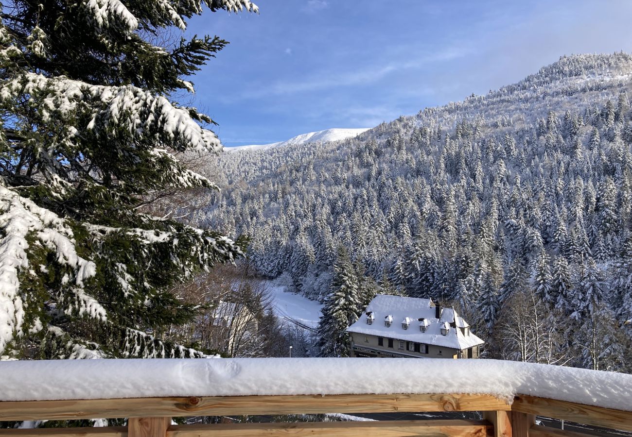 Casa en Laveissière - Maison Auvergnate Le repaire des Milans