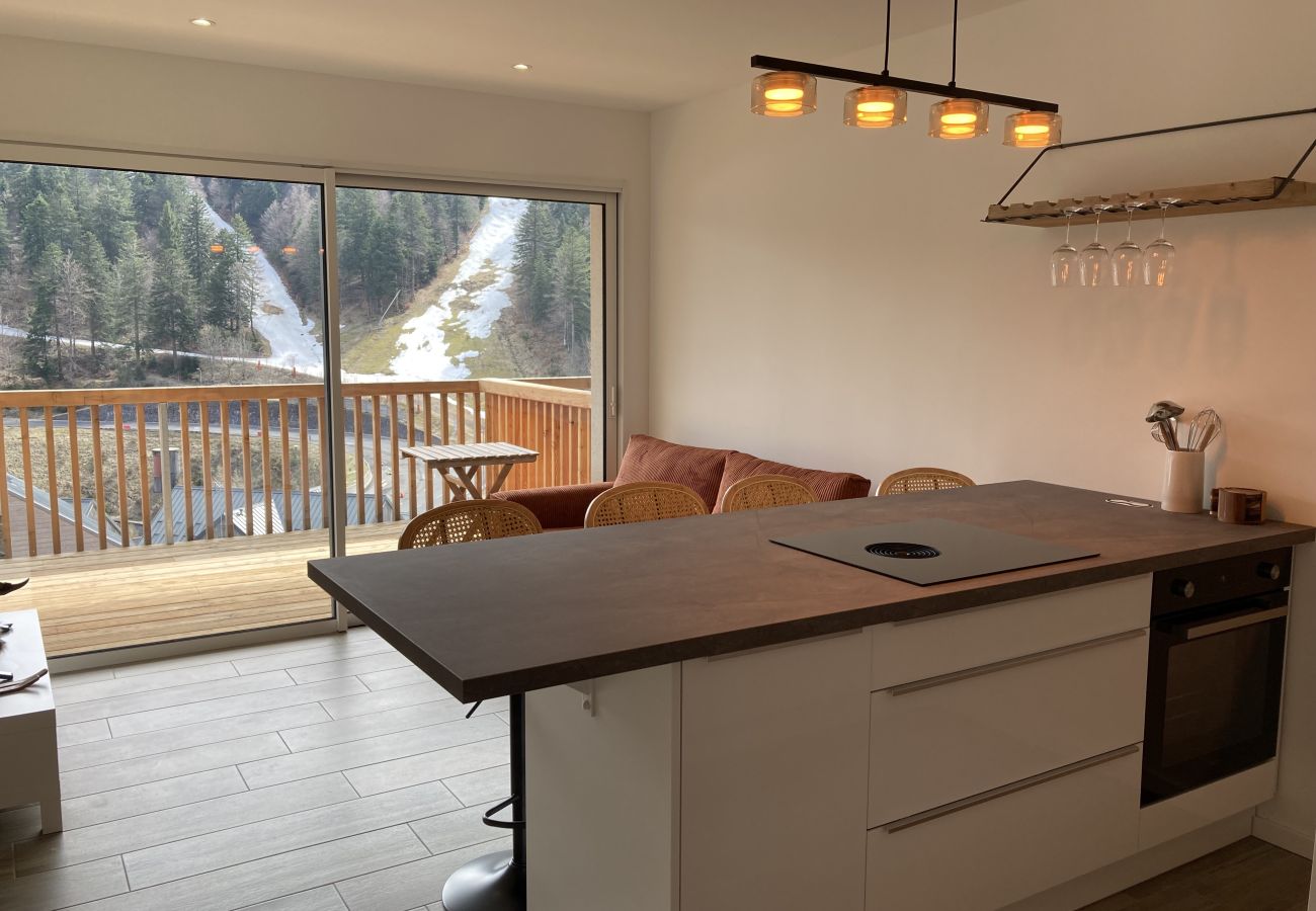 Apartamento en Le Lioran - 2 chambres neuf  surplombant les pistes de Ski