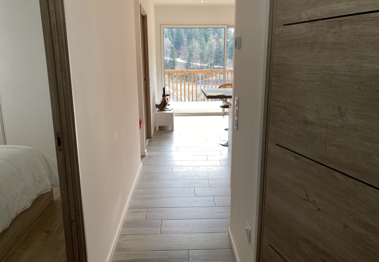 Apartamento en Le Lioran - 2 chambres neuf  surplombant les pistes de Ski