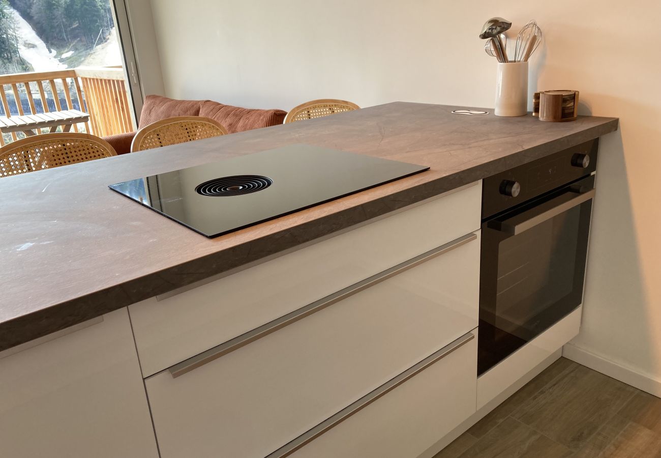 Apartamento en Le Lioran - 2 chambres neuf  surplombant les pistes de Ski