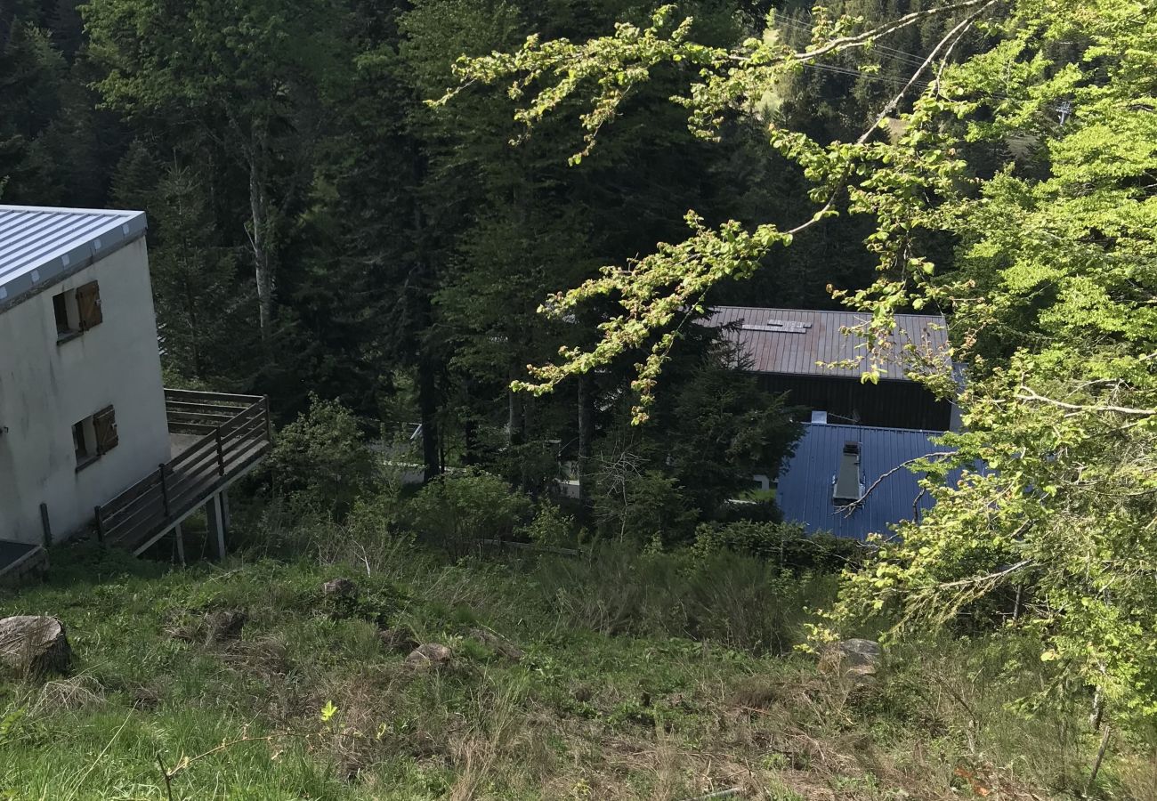Parcela en Laveissière - Le Lioran, unique! Terrain Rocher du Cerf à 100 m