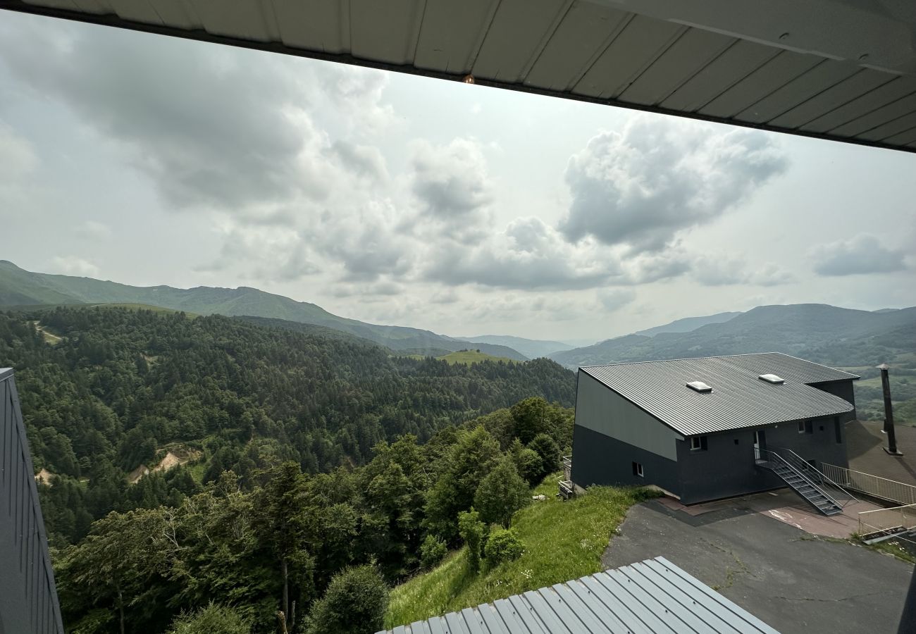 Apartamento en Le Lioran - Appartement spacieux avec cheminée