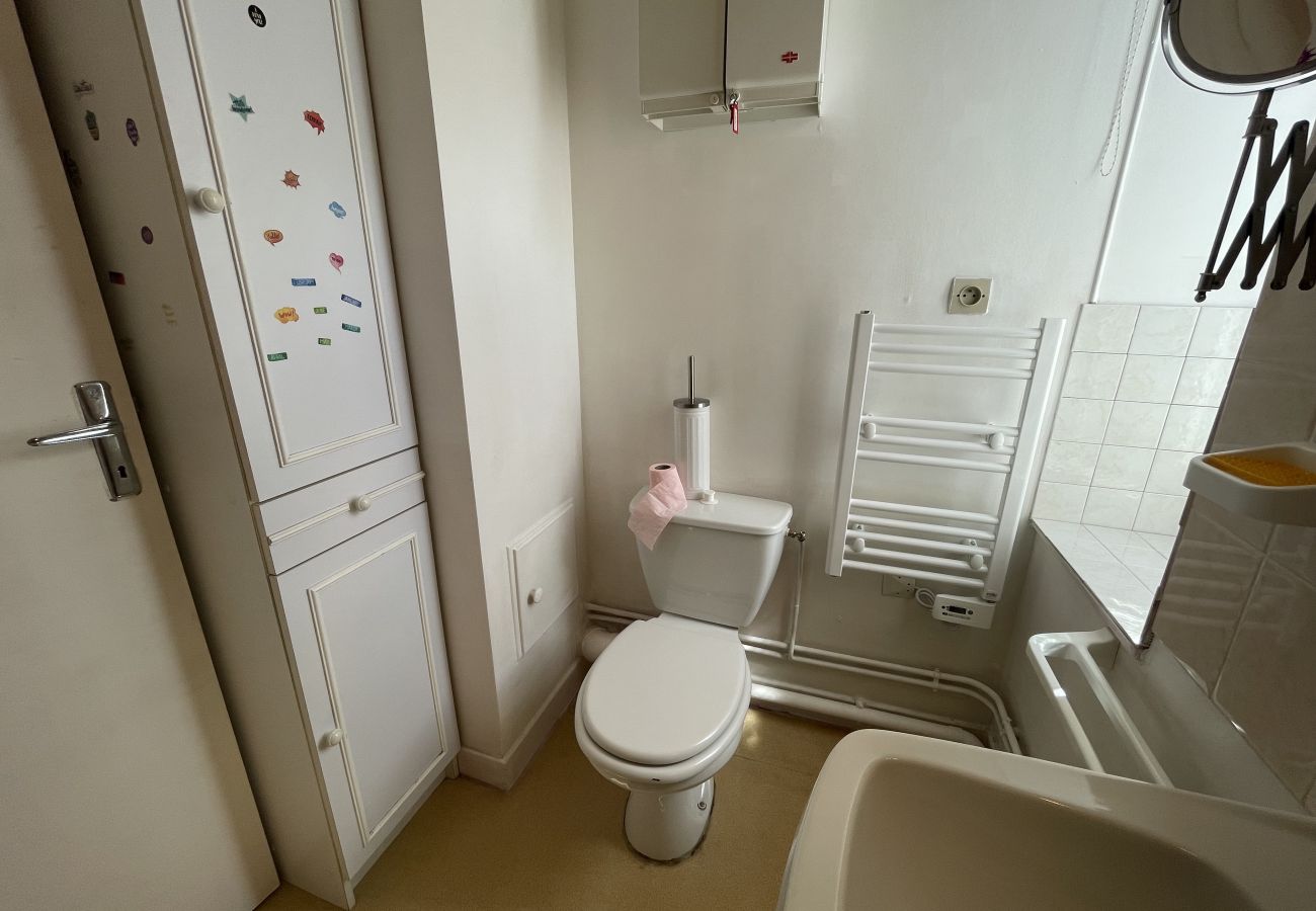 Estudio en Le Lioran - STUDIO A L`ALAGNON GARE
