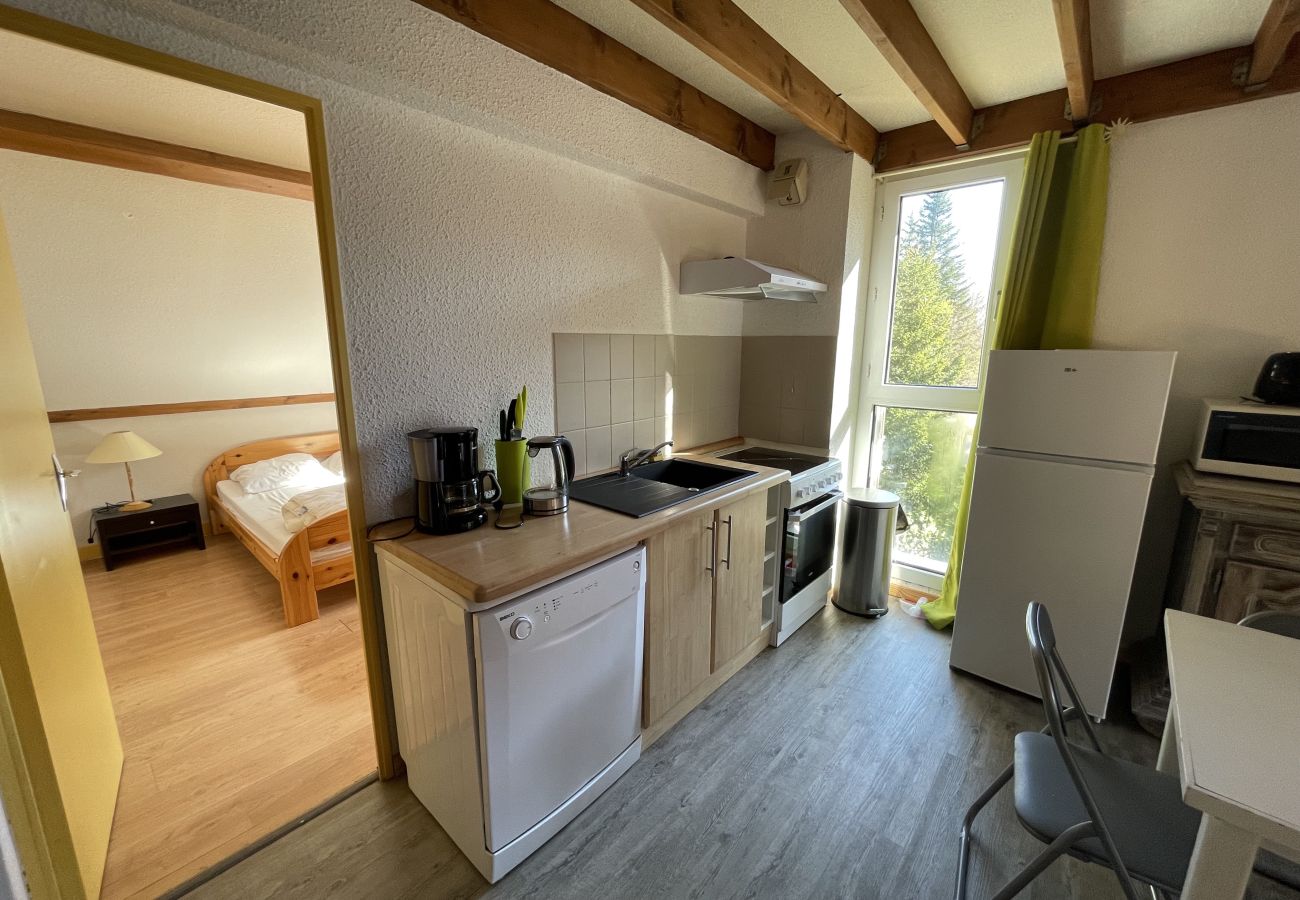 Apartamento en Le Lioran - Appartement T3 résidence porte du sud