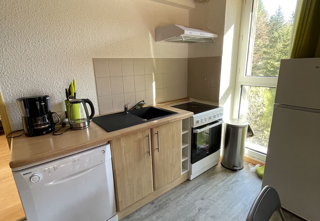 Apartamento en Le Lioran - Appartement T3 résidence porte du sud