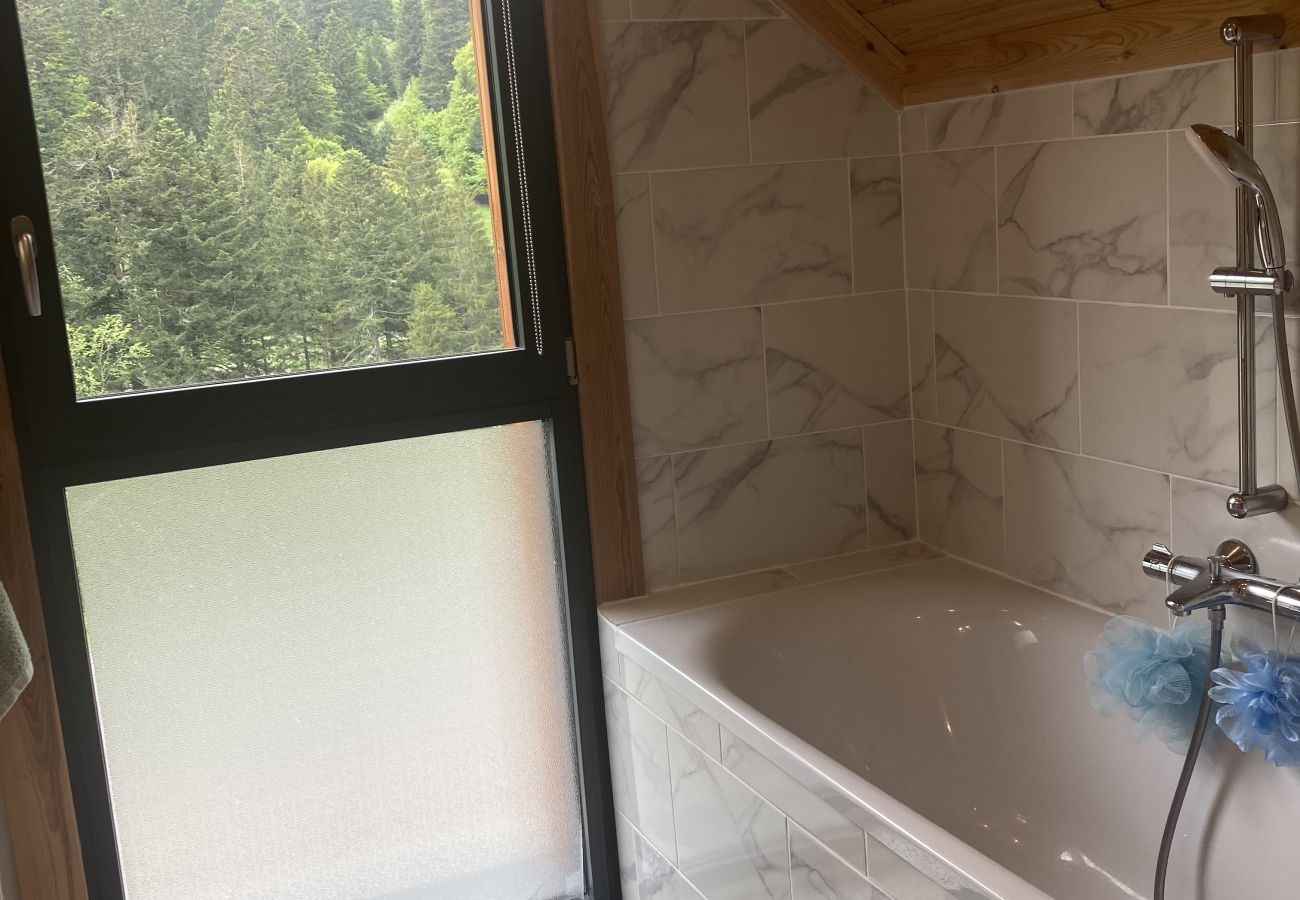 Chalet en Le Lioran - Superbe chalet triplex à font d`alagnon