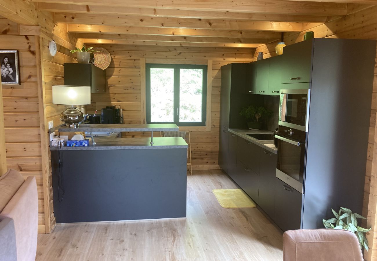 Chalet en Le Lioran - Superbe chalet triplex à font d`alagnon