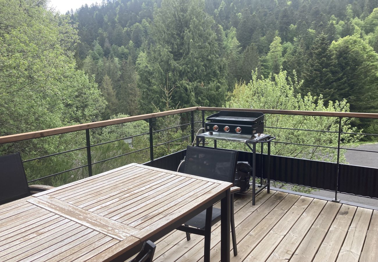 Chalet en Le Lioran - Superbe chalet triplex à font d`alagnon