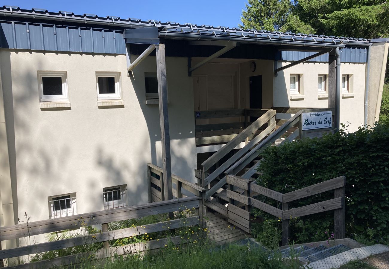 Apartamento en Le Lioran - Appartement cosy à la résidence le rocher du cerf